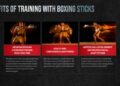 Precision Boxing Training Sticks — Do They Work? [Complete Guide] | by ...